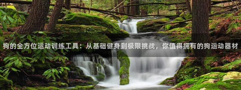 fb体育招商电话是多少
