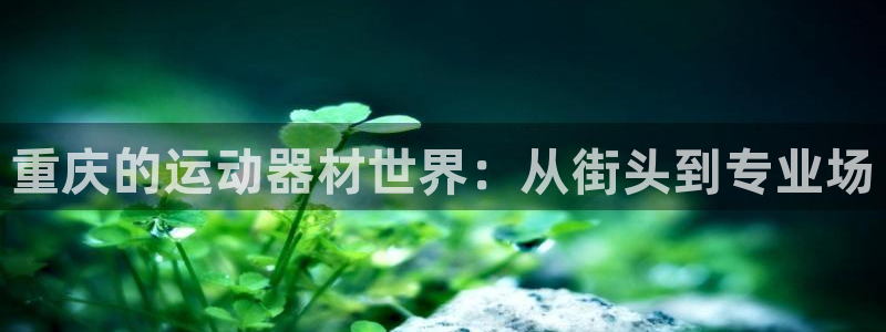 fb体育平台注册：重庆的运动器材世界：从街头到专业场