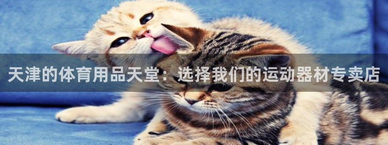 fb体育娱乐：天津的体育用品天堂：选择我们的运动器材