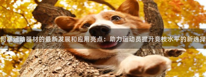 fb体育五金厂：何塞运动器材的最新发展和应用亮点：助力运动员