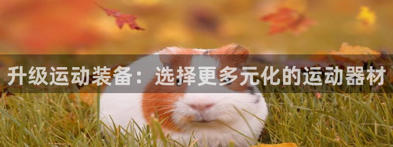 fb体育招商电话