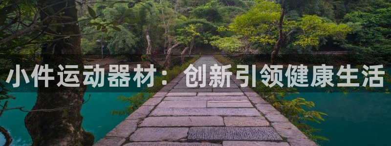 fb体育：小件运动器材：创新引领健康生活