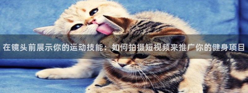 fb体育平台注册要钱吗：在镜头前展示你的运动技能：如