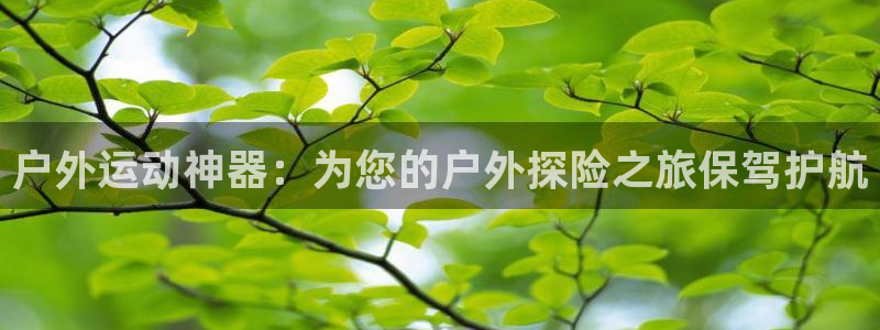 fb体育平台是正规平台吗