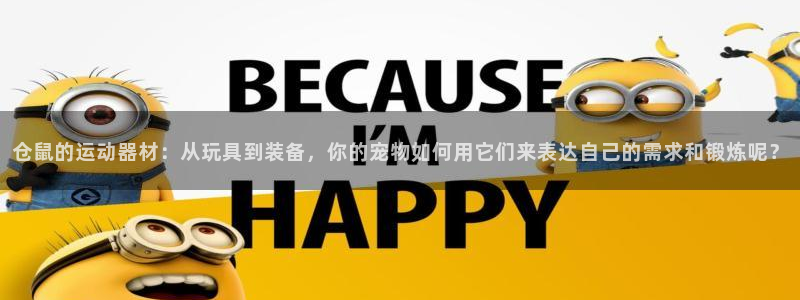 fb体育开户：仓鼠的运动器材：从玩具到装备，你的宠物如何用它