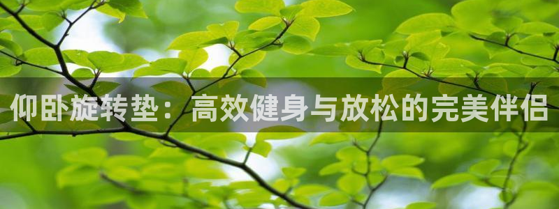 fb体育娱乐平台：仰卧旋转垫：高效健身与放松的完美伴侣