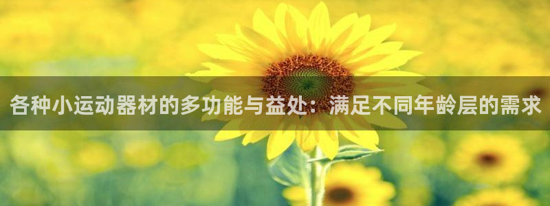 fb平台体育：各种小运动器材的多功能与益处：满足不同年龄层的