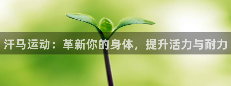 fb体育平台APP：汗马运动：革新你的身体，提升活力