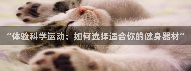 fb体育代理：“体验科学运动：如何选择适合你的健身器