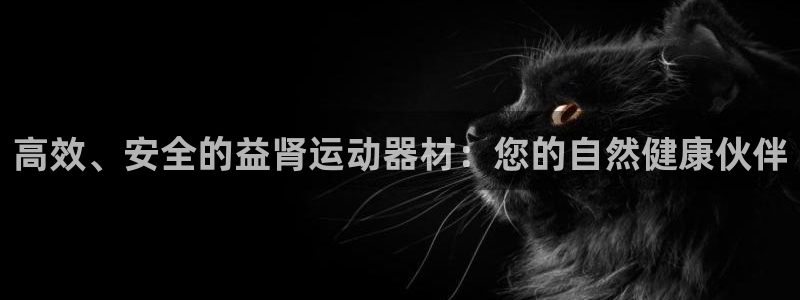 fb体育招商：高效、安全的益肾运动器材：您的自然健康伙伴