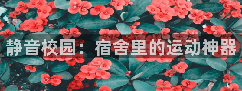 fb体育招商电话号码查询：静音校园：宿舍里的运动神器