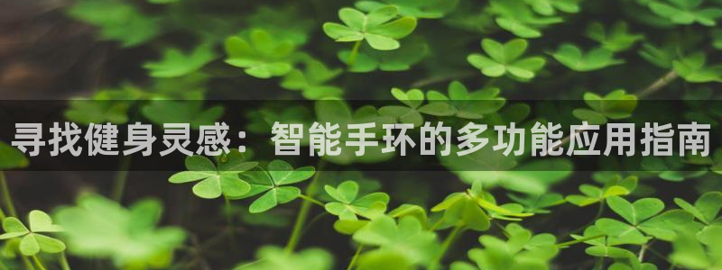 fb体育娱乐：寻找健身灵感：智能手环的多功能应用指南
