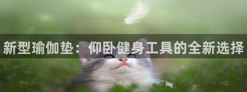 fb体育平台APP：新型瑜伽垫：仰卧健身工具的全新选择